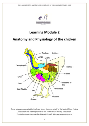 Learning Module 2 Anatomy And Physiology Of The Chicken
