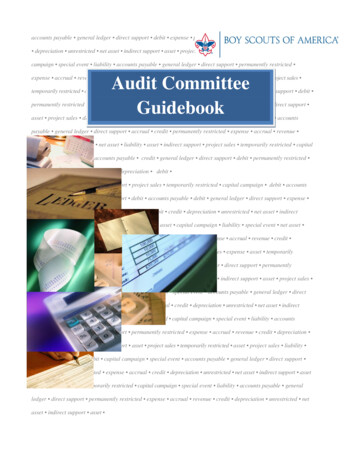 Audit Committee Guidebook - Scouting