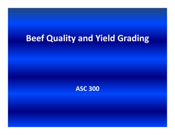 Beef Quality And Yield Grading - University Of Kentucky