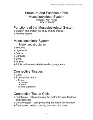 Structure And Function Of The Musculoskeletal System