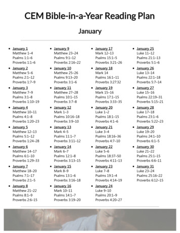 CEM Bible-in-a-Year Reading Plan - Born To Win