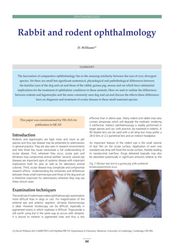 Rabbit And Rodent Ophthalmology