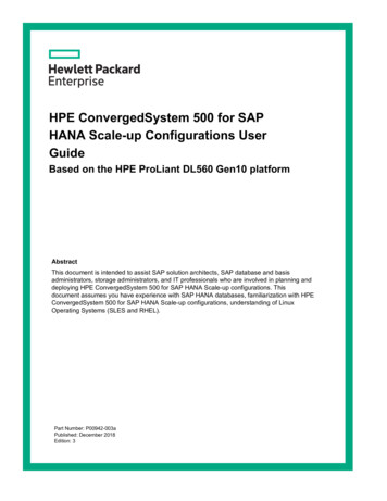 HPE ConvergedSystem 500 For SAP HANA Scale-up Configurations User Guide