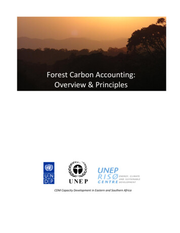 Forest Carbon Accounting: Overview & Principles - UNDP