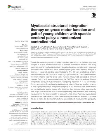 Myofascial Structural Integration Therapy On Gross Motor Function And .