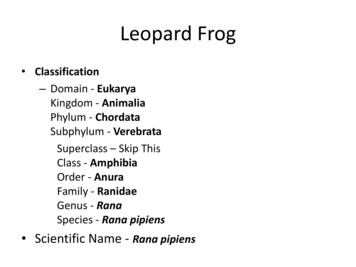 Frog Body Parts And Functions - North East Independent School District