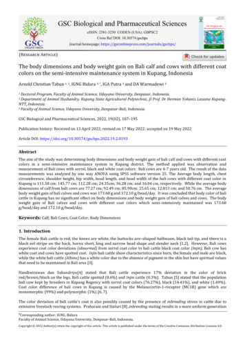 The Body Dimensions And Body Weight Gain On Bali Calf And Cows With .