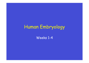 Human Embryology - Uppsala University