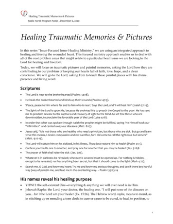 Healing Traumatic Memories & Pictures - Judith Doctor
