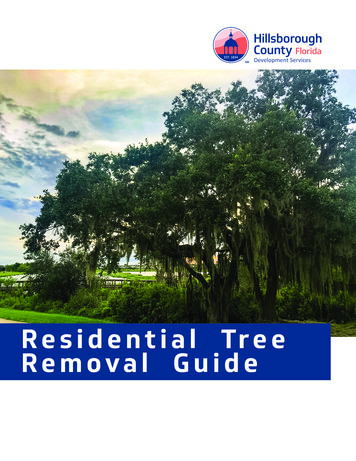 Hillsborough County Residential Tree Removal Guide