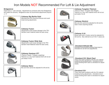 Iron Models NOT Recommended For Loft & Lie Adjustment