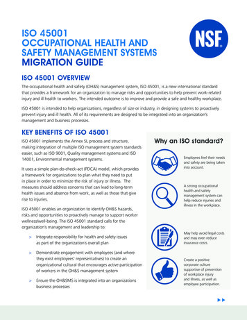 Iso 45001 Occupational Health And Safety Management Systems Migration Guide