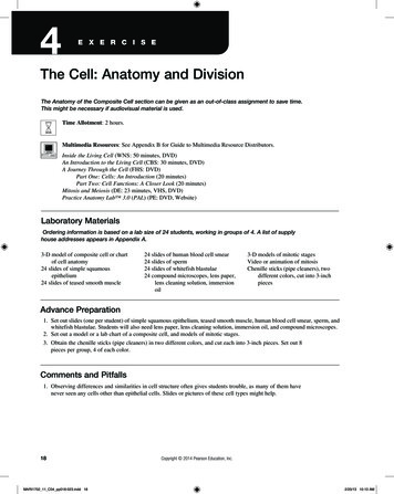 The Cell: Anatomy And Division - Holly H. Nash-Rule, PhD