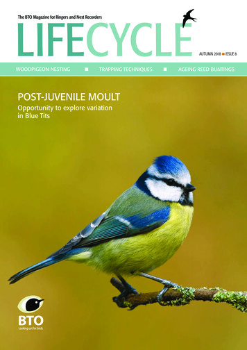 The BTO Magazine For Ringers And Nest Recorders LIFECYCLE