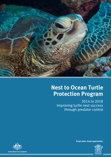 Nest To Ocean Turtle Protection Program 2014 To 2018 - Improving Turtle .