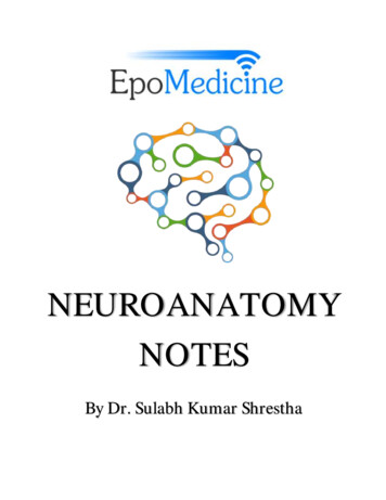 NEUROANATOMY NOTES - Epomedicine