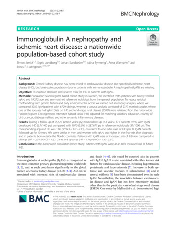 Immunoglobulin A Nephropathy And Ischemic Heart Disease: A Nationwide .