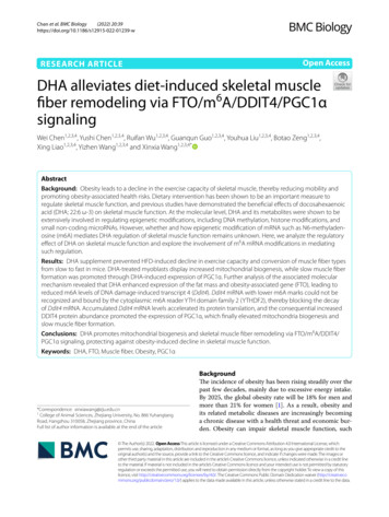 DHA Alleviates Diet-induced Skeletal Muscle Fiber .