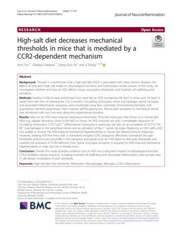 High-salt Diet Decreases Mechanical Thresholds In Mice .
