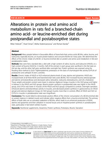Alterations In Protein And Amino Acid Metabolism In Rats .