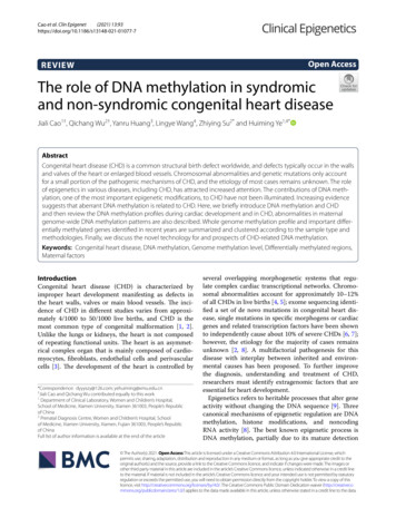 The Role Of DNA Methylation In Syndromic And Non-syndromic Congenital .