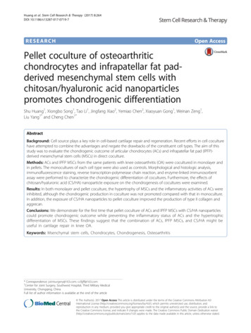 Pellet Coculture Of Osteoarthritic Chondrocytes And Infrapatellar Fat .