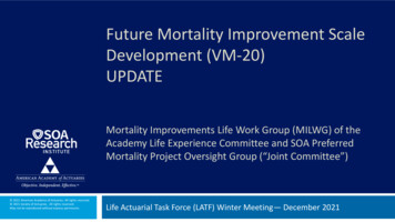 Future Mortality Improvement Scale Development (VM-20) UPDATE - NAIC