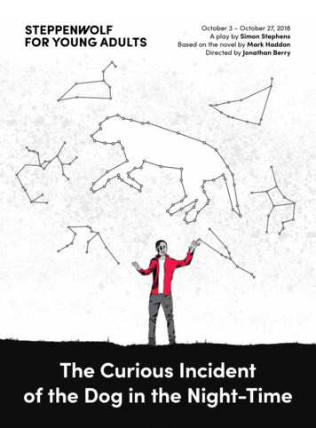 The Curious Incident Of The Dog In The Night-Time - Steppenwolf Theatre