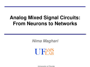 Analog Mixed Signal Circuits: From Neurons To Networks