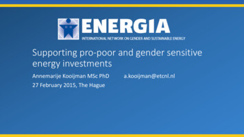 Supporting Pro-poor And Gender Sensitive Energy Investments