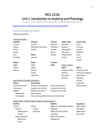 Unit 1 Introduction To Anatomy And Physiology - CNM