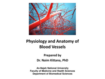 Physiology And Anatomy Of Blood Vessels - An-Najah Staff