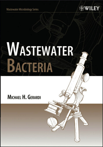 Wastewater Bacteria - Shahid Sadoughi University Of Medical Sciences