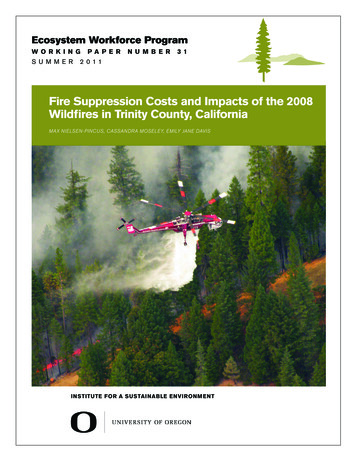 Fire Suppression Costs And Impacts Of The 2008 Wildfires In Trinity .