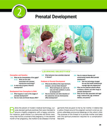 Prenatal Development - Pearson