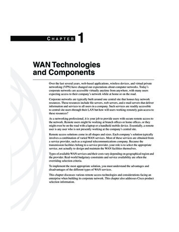 WAN Technologies And Components - Pearsoncmg 