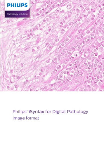 Philips’ ISyntax For Digital Pathology Image Format