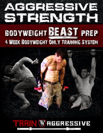 Aggressive Strength Bodyweight BEAST Program
