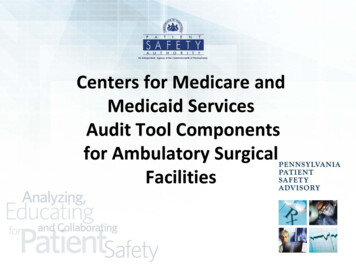 Centers For Medicare And Medicaid Services Audit Tool .