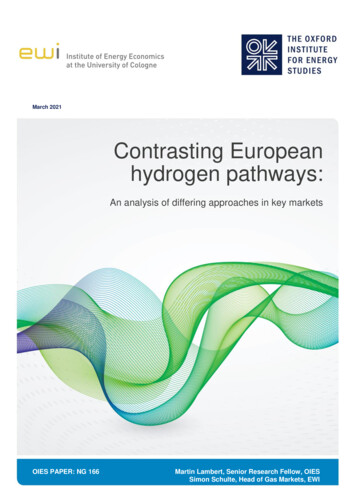 Contrasting European Hydrogen Pathways