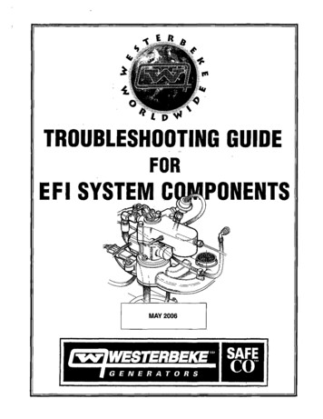 TROUBLESHOOTING GUIDE FOR E F I SYSTEM C ONENTS