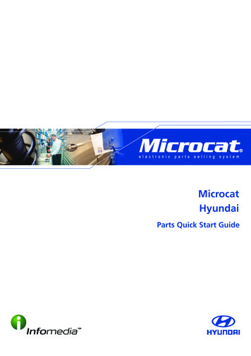 Microcat Hyundai - Autoepc 