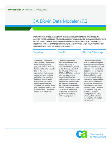 CA ERwin Data Modeler R7 - Danysoft