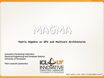 MAGMA - ICL