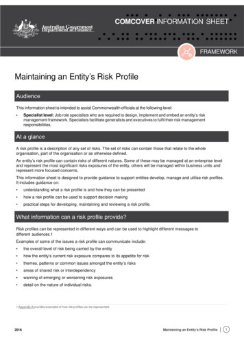 Maintaining An Entity’s Risk Profile - Finance