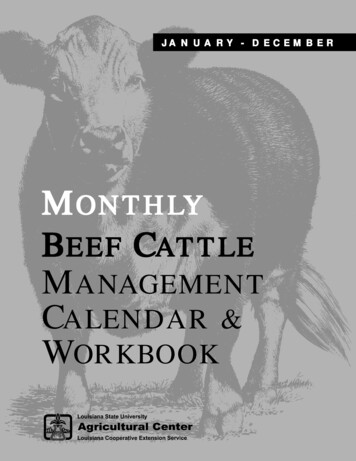 MONTHLY BEEF CATTLE MANAGEMENT CALENDAR WORKBOOK