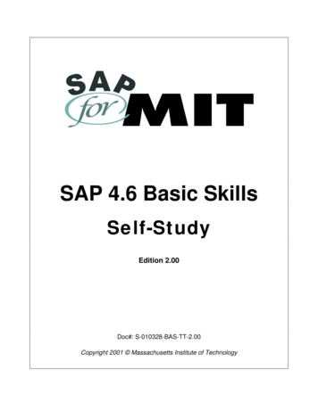SAP 4.6 Basic Skills - Trainning Curso SAP ITIL Excel .