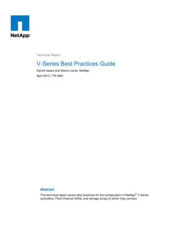 Technical Report V Series Best Practices Guide