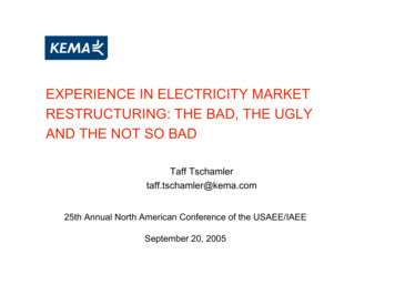 EXPERIENCE IN ELECTRICITY MARKET RESTRUCTURING: THE BAD .