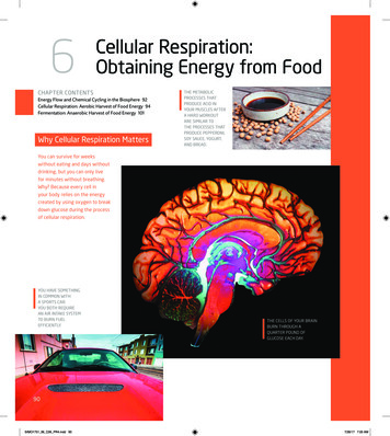 6 Cellular Respiration: Obtaining Energy From Food - Pearson